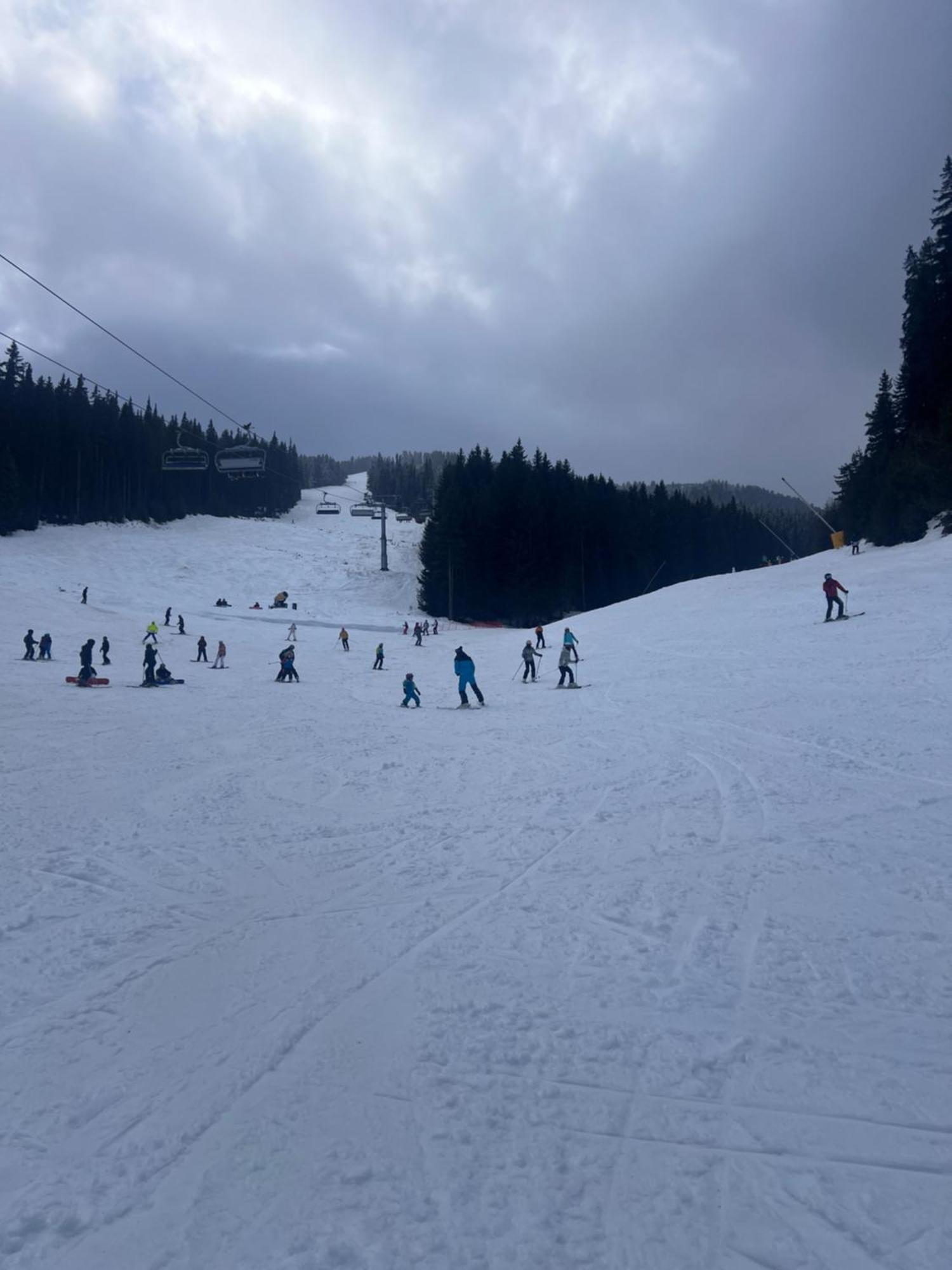 بانسكو Dimitri Apartament Emerald , Near Gondola المظهر الخارجي الصورة